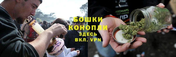 скорость Вяземский