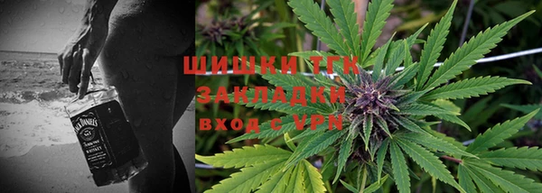 скорость Вяземский