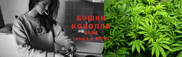 скорость Вяземский