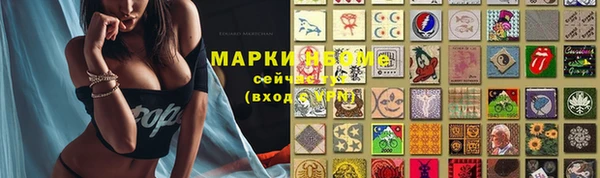 скорость Вяземский