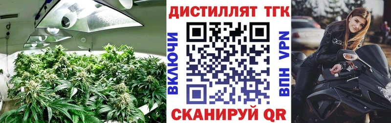 Дистиллят ТГК гашишное масло  Купить закладки  Светлогорск 