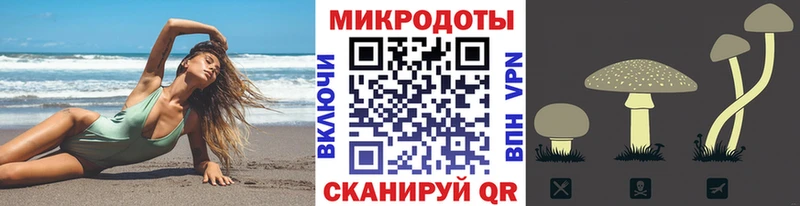 Купить где  Светлогорск  Псилоцибиновые грибы Magic Shrooms 