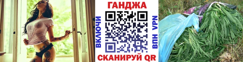 Шишки марихуана THC 21%  Купить где  Светлогорск 